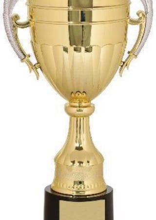 WELL DONE TROPHY GOLD & SILVER PLASTIC CUP FREE ENGRAVING P021 